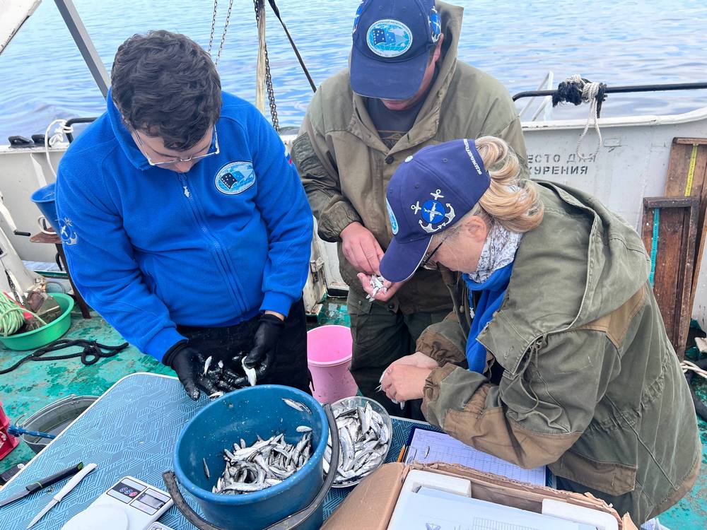 img 20251008 150501 148