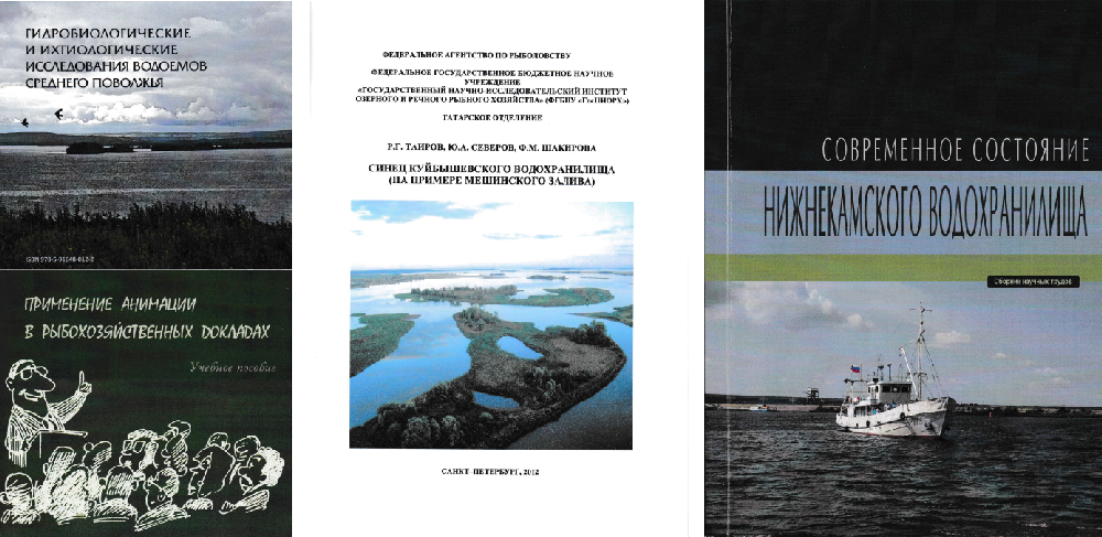 collage 1