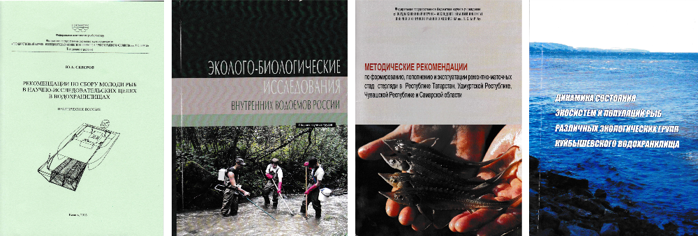 collage 2