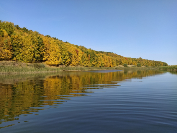 Осенние мониторинговые исследования в Мёшинском заливе Куйбышевского водохранилища