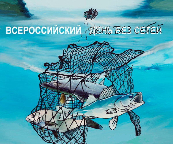 День без сетей!